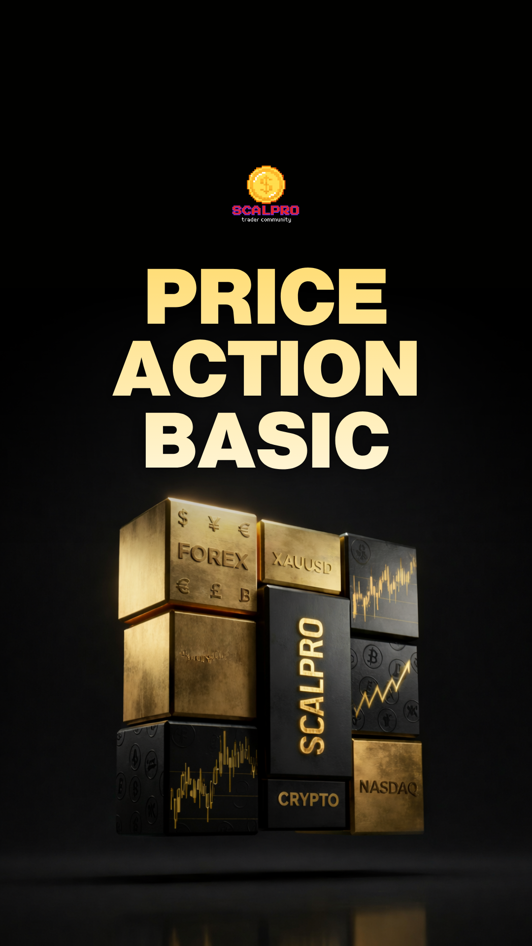 Price Action King Basic